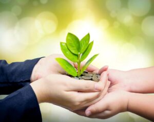 Hands Protecting Growing Plant stemming out of coins
